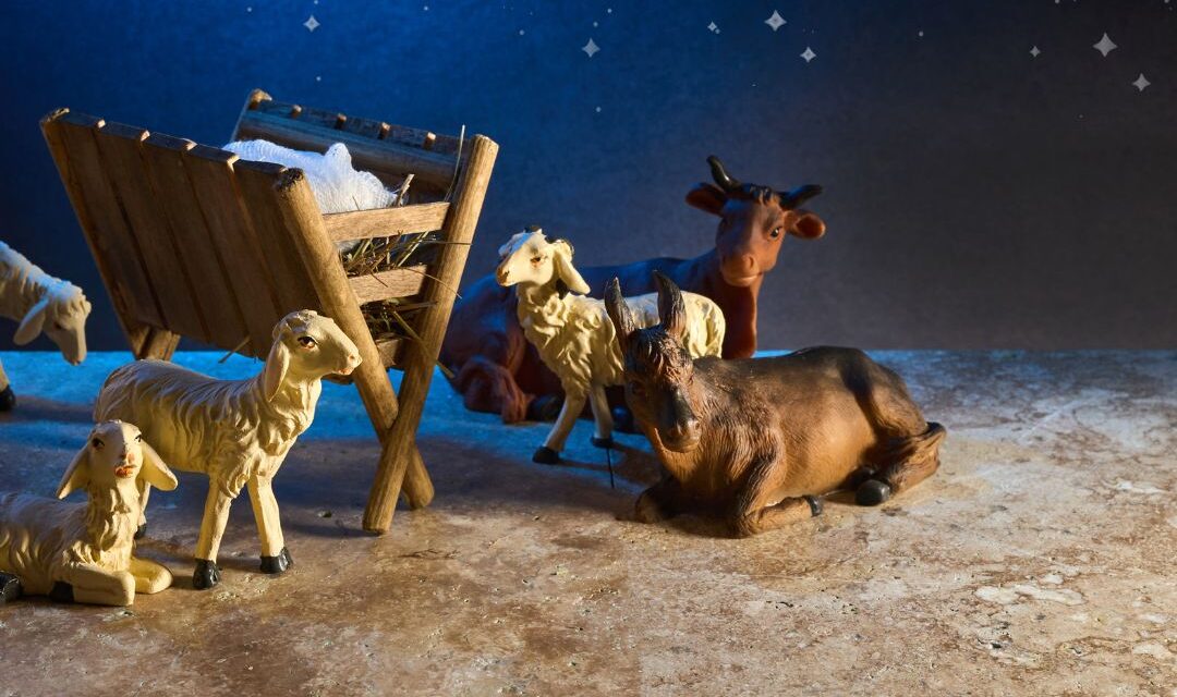 Nel silenzio che viene: catechesi musicali di Avvento