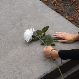 una mano con un fiore in mano tocca una tomba